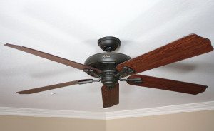 Hunter Royal Oak Ceiling Fan